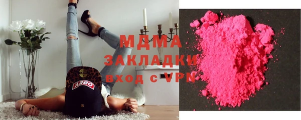 гидра Ельня