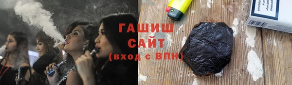 гидра Ельня