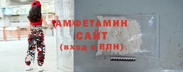 гидра Ельня