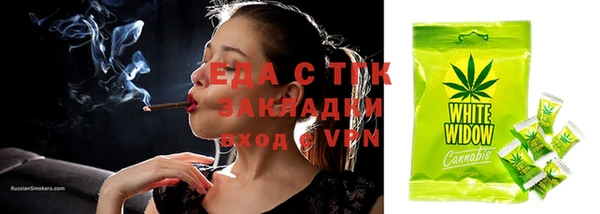 гидра Ельня
