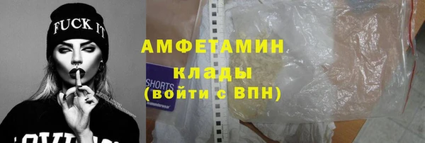гидра Ельня