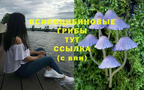 каннабис Новодвинск
