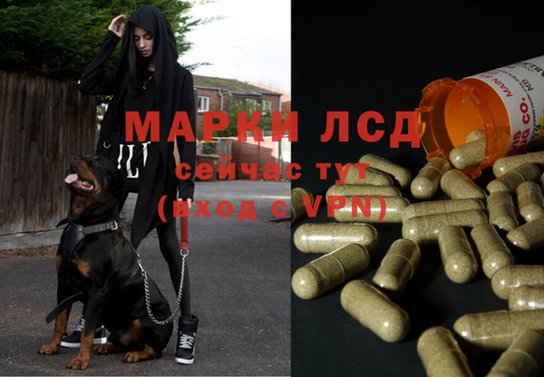 каннабис Новодвинск