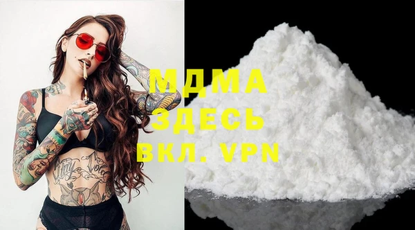 гидра Ельня