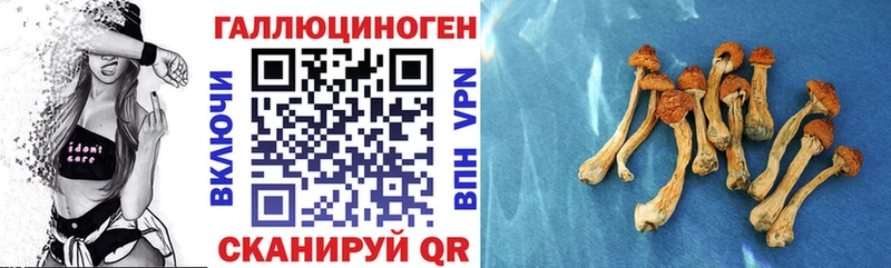Галлюциногенные грибы ЛСД  Миньяр 
