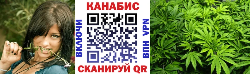 Шишки марихуана сатива  МЕГА ССЫЛКА  Миньяр 